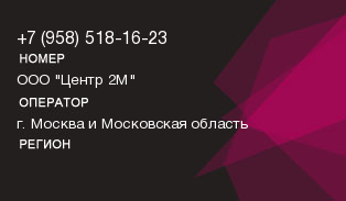 9585181623